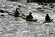 Kayaks remontant le flot sous le barrage de Noisiel - © Norbert Pousseur