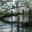 Poupée sur piquet de barque dans bras mort de Noisiel - © Norbert Pousseur