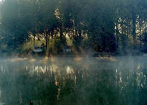 Soleil levant à travers les arbres de la rive de Torcy - © Norbert Pousseur