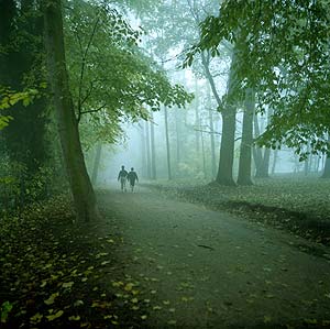 Brumes de la Marne à Champs