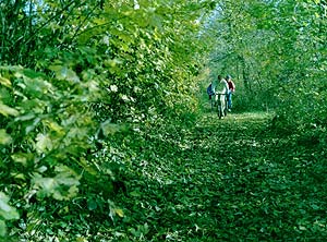 En vélos près de Lagny