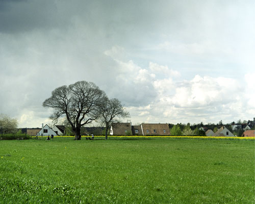 Noyer sous ciel d'hiver - © Norbert Pousseur