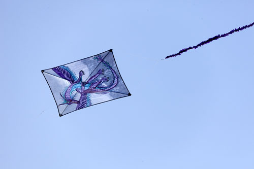 Kite with a blue dragon - © Norbert Pousseur