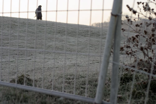 Fence without barbed wire - © Norbert Pousseur