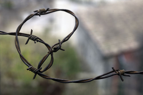 Barbed wire - © Norbert Pousseur