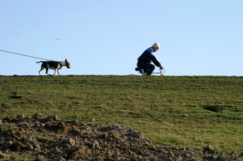 Bike and dog - © Norbert Pousseur