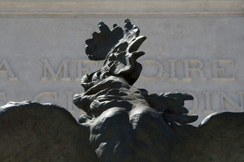 Cock of Bordeaux - © Norbert Pousseur