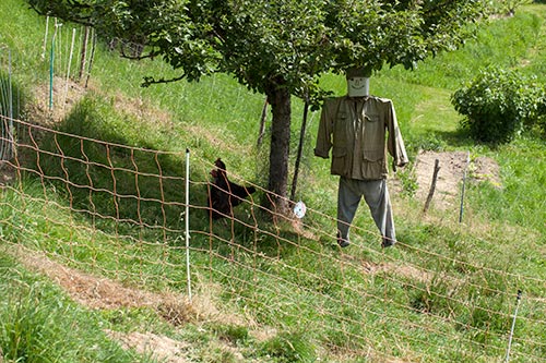 Scarecrow at Mt Joly- © Norbert Pousseur