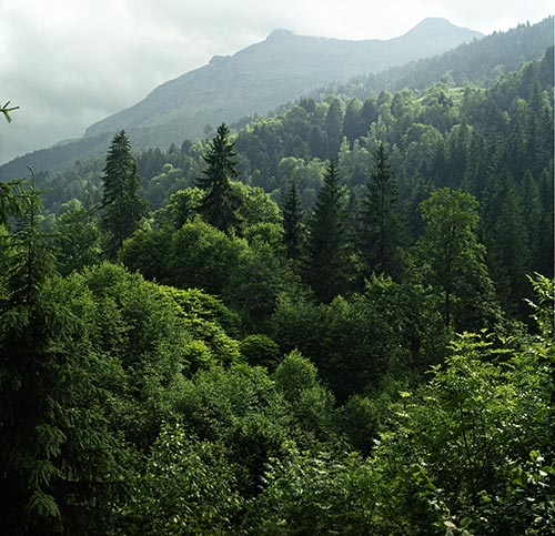 Mt Joly, neighborhood of the hamlet of Tresse - © Norbert Pousseur