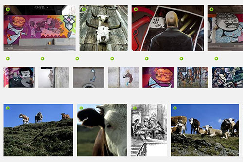 Search Googles Images Crâne - © Norbert Pousseur