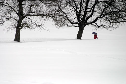 Woman in the umbrella in walk in the snow - © Norbert Pousseur