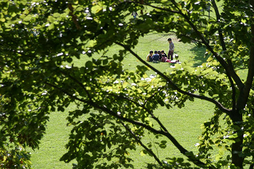 Groupe d'enfants assis dans un parc - © Norbert Pousseur