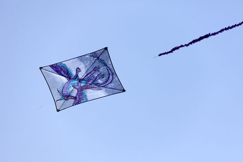 Cerf-volant au dragon bleu - © Norbert Pousseur