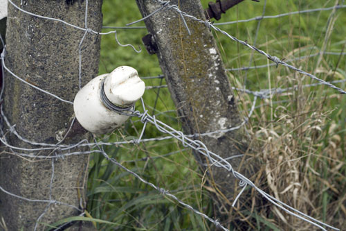 Clôture de barbelés et électrifiée - © Norbert Pousseur