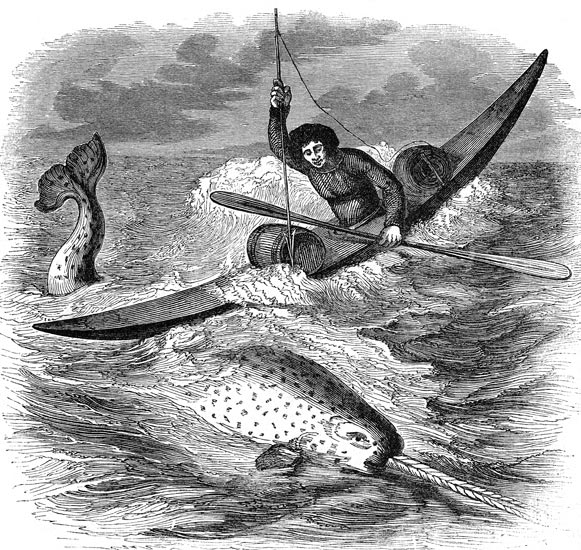 Kayak de pêche vers 1840 - reproduction © Norbert Pousseur