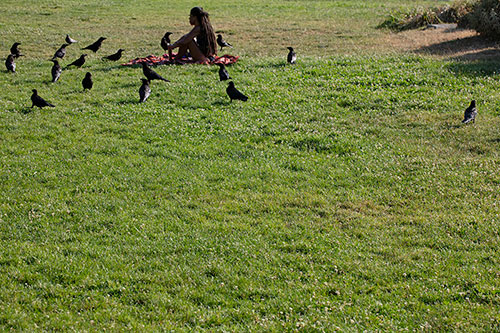 Jeune fille assise dans un parc et entourée de corneilles  - © Norbert Pousseur