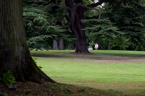 Couple photographiant un grand cèdre d'un parc - © Norbert Pousseur