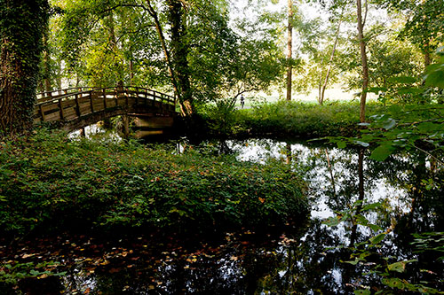 Pont de bois donnant sur la prairie d'un parc - © Norbert Pousseur