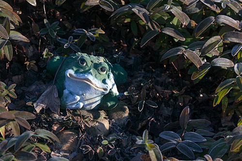 Crapaud en terre cuite - © Norbert Pousseur