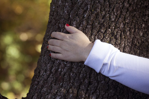 Main posée sur tronc d'arbre - © Norbert Pousseur