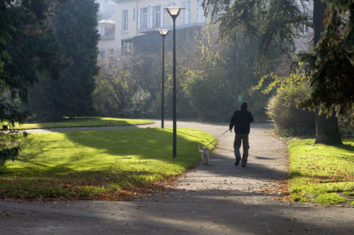 Promenade du chien - © Norbert Pousseur