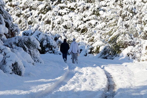 Chemin de neige au soleil - © Norbert Pousseur