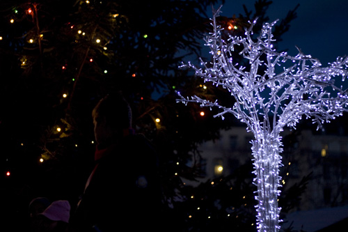 Branchages lumineux - © Norbert Pousseur