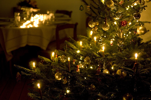 Lumières de sapin de Noël - © Norbert Pousseur