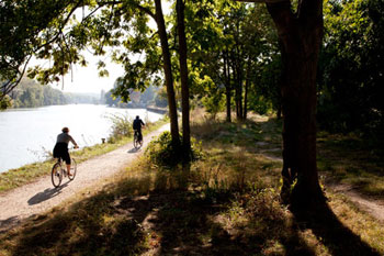 Vélos en bord de Marne - © Norbert Pousseur