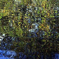 Reflets d'automne - © Norbert Pousseur