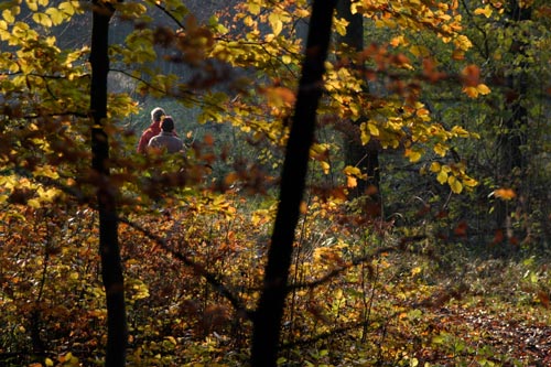 Pareja en paseo de otoño - © Norbert Pousseur
