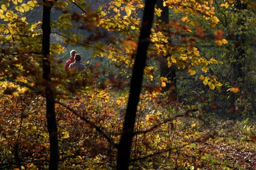 Couple en promenade d'automne - © Norbert Pousseur