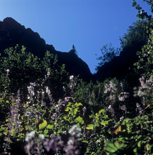 Sentier d'Armancette et crête de Tré-la tête - © Norbert Pousseur