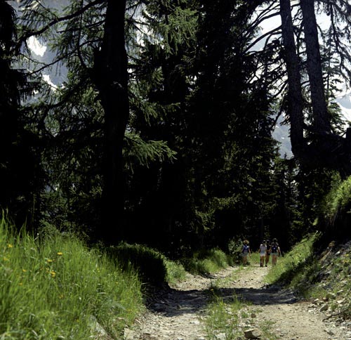 Chemin de Loria - © Norbert Pousseur