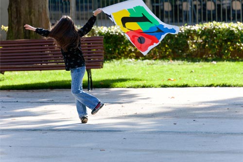 Flight of flag - © Norbert Pousseur