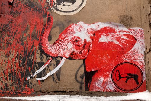 Elephant graf - © Norbert Pousseur