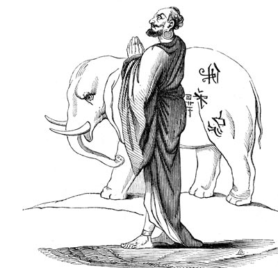 White elephant of Siam - reproduction by © Norbert Pousseur White elephant of Siam - reproduction by © Norbert Pousseur