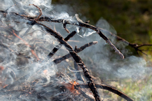 Smoking branches - © Norbert Pousseur