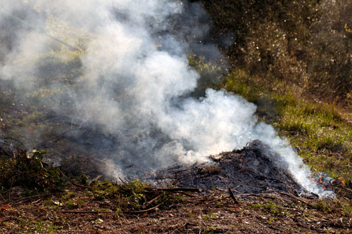Smoke of bushes - © Norbert Pousseur