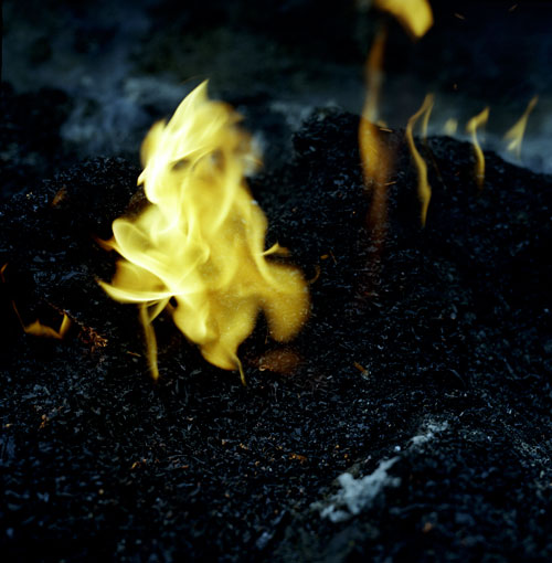 Flammes sur déchets - © Norbert Pousseur
