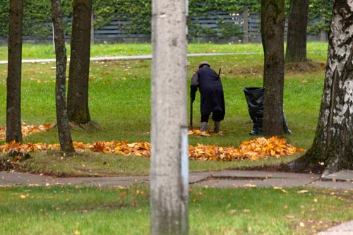 Ramassage de feuilles en espace dégradé - © Norbert Pousseur