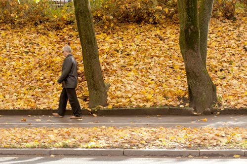 Hojas secas en Riga - © Norbert Pousseur