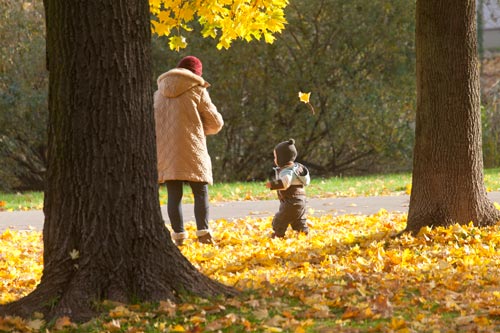 Enfant dans les feuilles mortes - © Norbert Pousseur