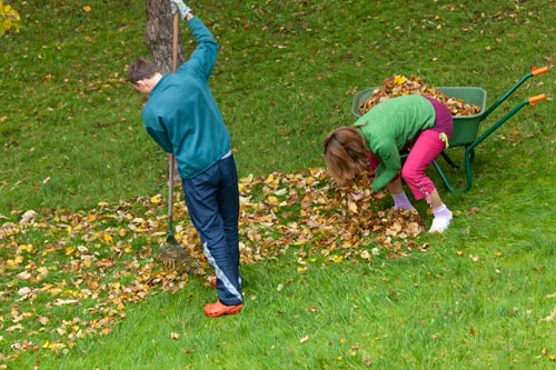 Ramassage de feuilles mortes au jardin - © Norbert Pousseur