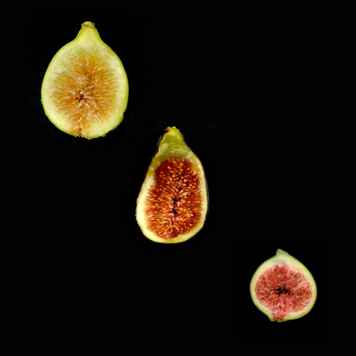 Trois figues en coupe - © Norbert Pousseur