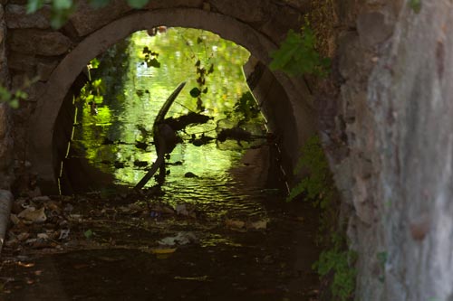 Agua corriente - © Norbert Pousseur