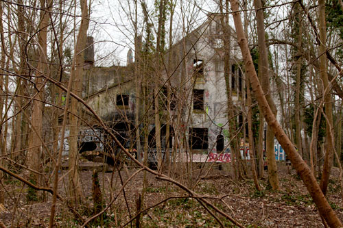 The house in ruin in wood - © Norbert Pousseur