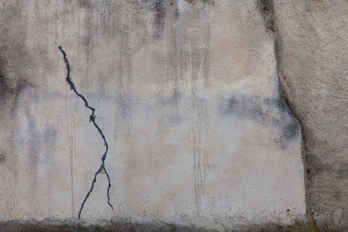 Lézarde sur mur gris - © Norbert Pousseur