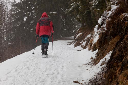 Walker with ski- © Norbert Pousseur