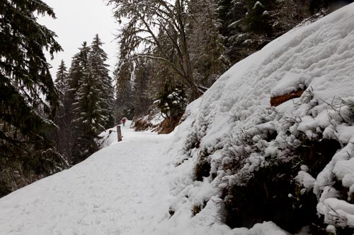 Walker with ski, with the distant, on the path - © Norbert Pousseur